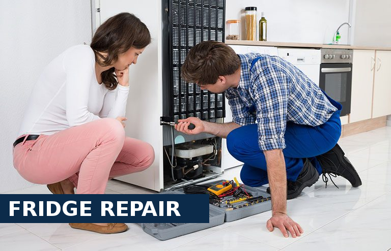 Fridge Repair Mayfair